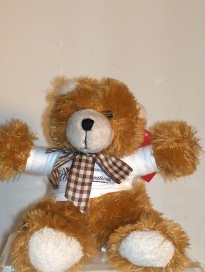 Unique Creations Collection Teddy Bear